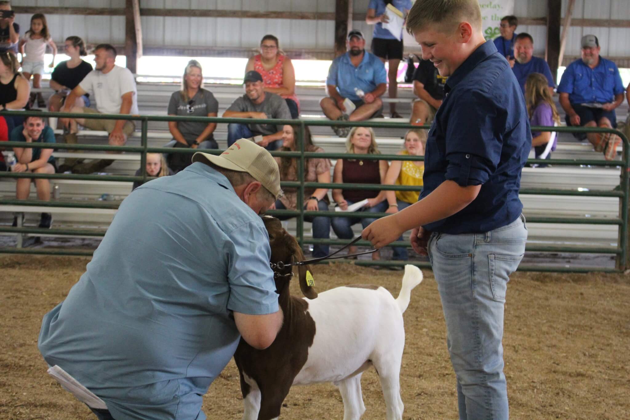 Livestock auction enjoyed by many Ripley Publishing Company, Inc.