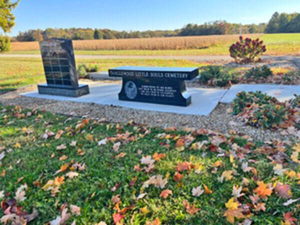 color 10.28 little souls